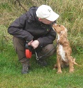 brande-hundepension-midtjylland-hundekærlighed-tid-ti-kys-og-kæl