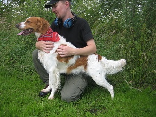jagthund-paa-jyllands-hundepension-brande