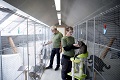 birgit-kent-kattehygge-brande-kattepension