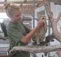 emilie-kattenussseri-i-kattevoliere-brande-kattepension